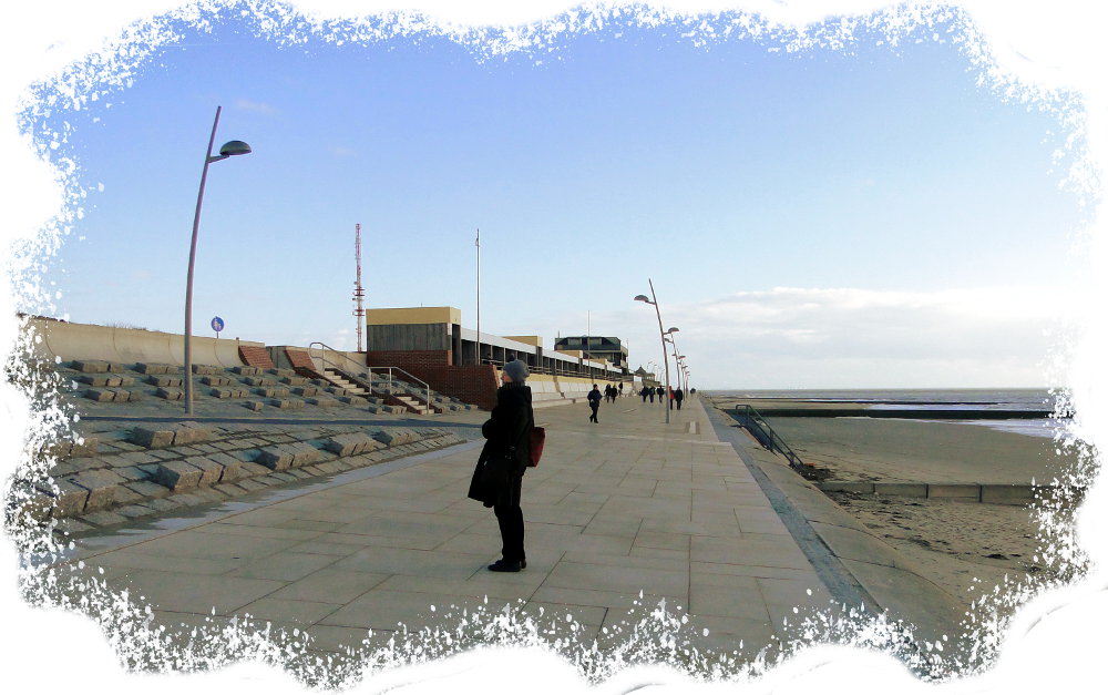 qou_DSC05426 qou_DSC05426